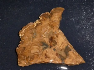 Stromatolite fossil slab- 3 5/8"  x  3 "---rough-cabbing-display,science - Picture 1 of 3