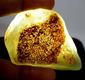 Pietra preziosa curativa naturale fluorite verde brasiliana 429 ct venditore statunitense grezzo - Foto 1 di 10
