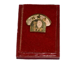 DXN SA Star Agent Gold Tone Award Pin Pinback #42432 - Picture 1 of 6