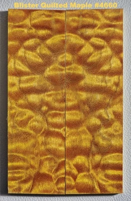 Básculas de arce acolchadas blister amarillo rico estabilizado #4660, 6 x 1 7/8 x 7/16" ea Foto 1 de 4