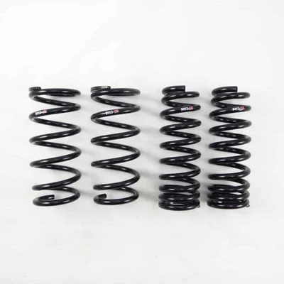 RS-R Down Sus Springs for 2016+ Lexus GS350 RWD - T172D - Image 1 of 2