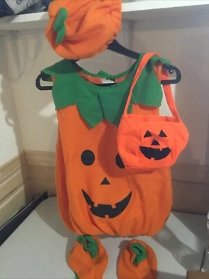 Unisex Child Pumpkin Costume Sz 6-7 Hat & Shoe Covet And Pumpkin Bag For Treats  - Image 1 of 4