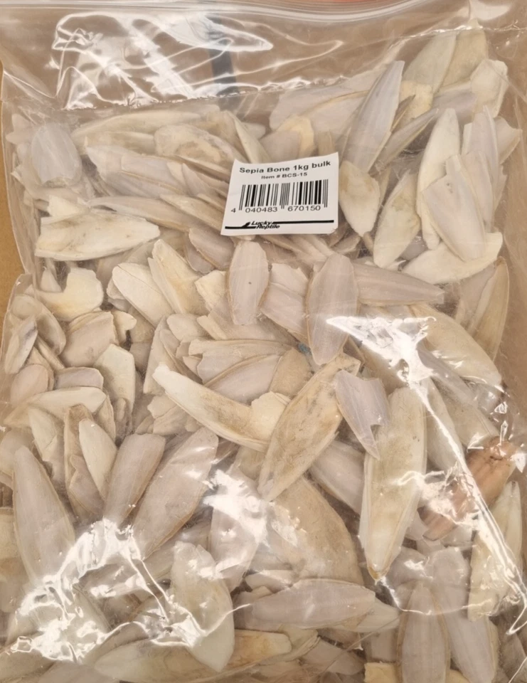 1 kg Sepiaschalen Lucky Reptile klein mit Bruch Sepia Sepiaschale Kalzium - Bild 1 von 1