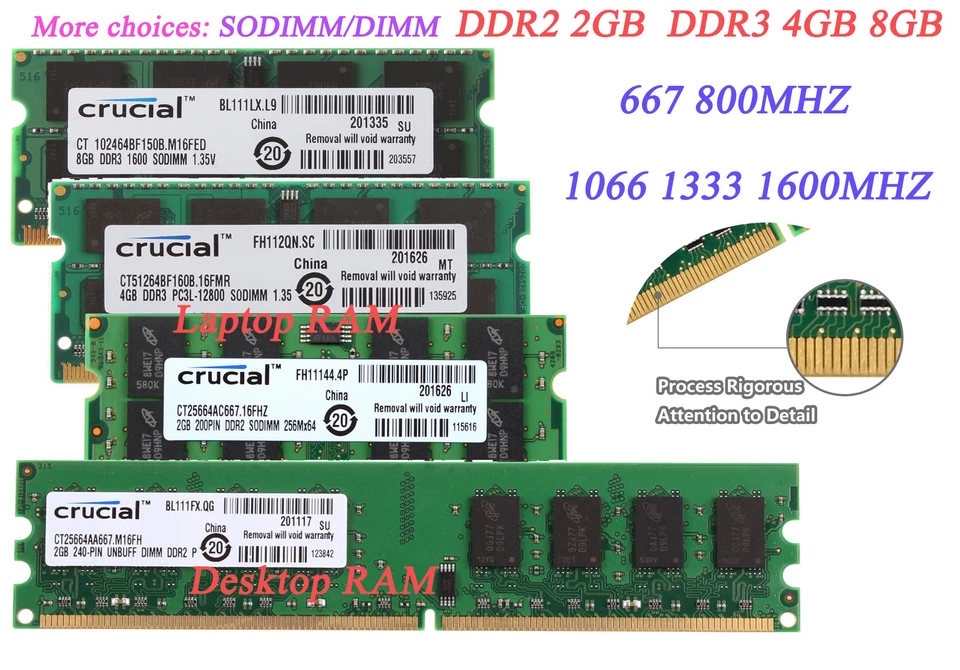 Lot Crucial 8G 4G 2G PC2 PC3 5300 6400 DDR2 DDR3 MHz Desktop Laptop Memory RAM & - Image 1 of 4