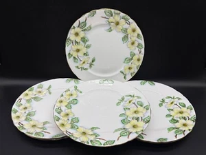 Tuscan Dogwood Dinner Plates (Set of 6) Bone China England - Picture 1 of 5