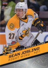 2017/18 Sarnia Sting - SEAN JOSLING [Florida Everblades] ECHL 