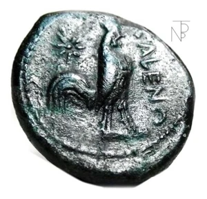 GREEK Cales (Caleni-Caserta-Campania) Ae Atena-Gallo - Picture 1 of 8
