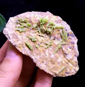 66 mm grün PYROMORPHIT Kristallcluster auf Matrix Mineralprobe China 2348 - Bild 1 von 5