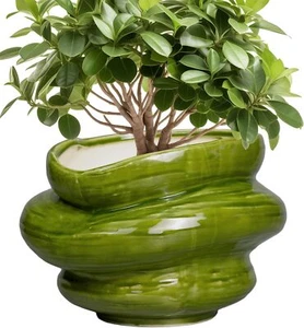 Ceramic Planters Bonsai 11 Inch - Planters with Drainage Hole, Flower Pots - Picture 1 of 7