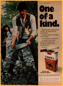 Camel Turkish Gold Panning Cigarette Tobacco- Print Ad / Poster Promo Art 1977 - Picture 1 of 3