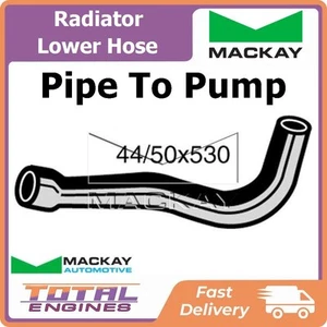 Radiator Lower Hose fits Jaguar XJ6 III 4.0L 6Cyl AJ6 - Bild 1 von 2