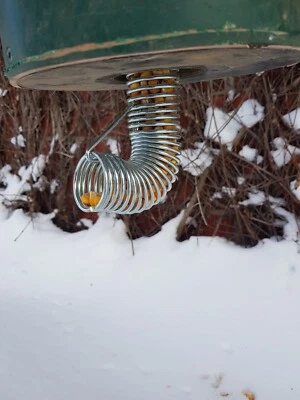 Maisspirale Futterspirale für Mais und ungereinigtes Getreide - Bild 1 von 2