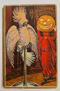 Antigua postal de Halloween Bamberger #1, cabeza de loro y calabaza, escasa sin publicar  - Imagen 1 de 6