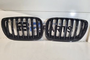 BMW E53 x5 Grille, Hight Gloss Black Front, left/ right 51137113733 51137113734 - Picture 1 of 11