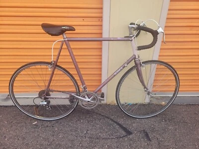 Vintage RALEIGH 480 USA TECHNIUM 60 CM FRAME BICYCLE BIKE Men's  - Image 1 of 4