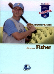2008 TRISTAR PROjections Reflectives Yellow #82 Michael Fisher /25