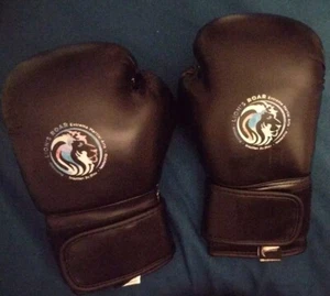 Proma Kids Boxing Gloves 6 oz Kickboxing, Martial Arts, MMA, Jiu Jitsu, Muy Thai - Picture 1 of 7