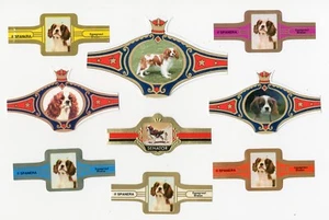 CAVALIER KING CHARLES SPANIEL COLLECTION OF DUTCH CIGAR AND COLLECTABLE BANDS - Picture 1 of 1