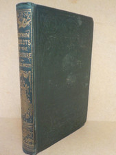 Rev J G Wood The Common Objects of the Sea Shore 1859    ID990