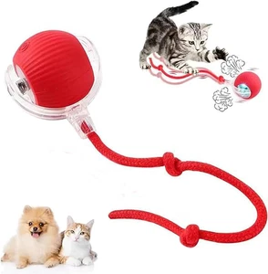 Interaktives Katzenspielzeug für Indoor Katzen - mit langem Seilschwanz und USB-Aufladung. Auto - Bild 1 von 12