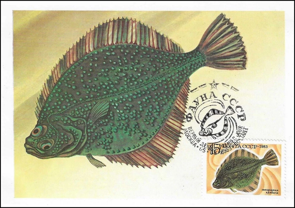 Starry Flounder Deep-Living Exotic Fish Pacific Osean Russia Mint Maxi FDC 1983 - Image 1 of 1