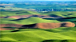 Palouse Empire by Laura Blount Signed Limited Edition Cook Book 2011 Scarce - Picture 1 of 20