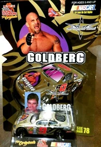 GOLDBERG.Racing Champions, 10Jahre. Weltmeisterschaft: Gold Ford Taurus #9, NASCAR - Bild 1 von 5