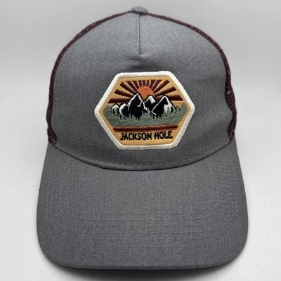 Gorra de béisbol Jackson Hole Wyoming Trucker gorra de béisbol ajustable gris OSFM Foto 1 de 4