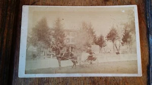 1880'S ANTIQUE BOUDOIR SIZED CABINET CARD PHOTOGRAPH - HORSE & TRAP- AMERICA USA - Picture 1 of 5