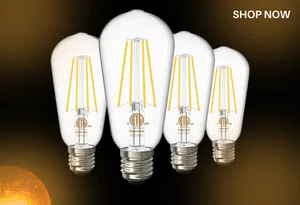 Edison LED Bulbs 6W Glass, Vintage Warm White E26 (4-Pack) - Picture 1 of 9