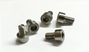 10 x Titan Gr. 5 Schrauben mit Innensechskant / Titanium screws DIN 912 M2,5 x 4 - Picture 1 of 1