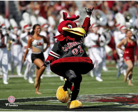 South Carolina Gamecocks Unsigned Cocky Pre-Game Photograph Cover