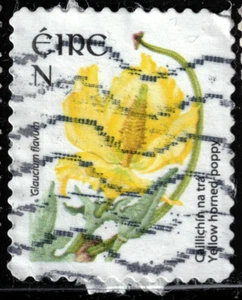 Ireland - 2008 - N - Wild Flowers - Yellow horned-poppy - #18082 - Picture 1 of 1