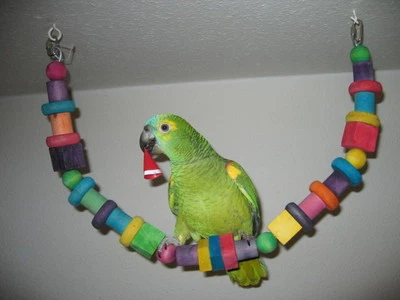 OLLESCH Papageienspielzeug Winsten Bridge 80 cm Holzbrücke Vogelspielzeug