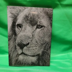 Stunning Granite Engraved 6x8 inch NATURAL Stone Black Granite LION - Picture 1 of 5