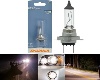 Sylvania Basic H7 55W One Bulb Head Light High Beam Replace Plug Play OE Lamp - Image 1 of 4