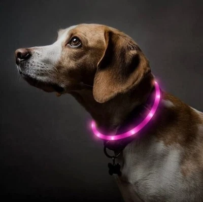DO&G LED Dog Collar USB Rechargeable with 3 Glowing Styles
