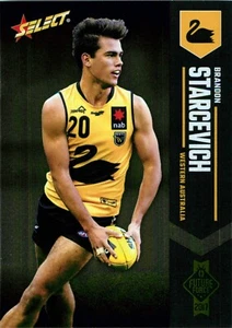 Tarjeta de novato Brisbane Lions AFL Select Future Force 2017 - Brandon Starcevich - Imagen 1 de 3