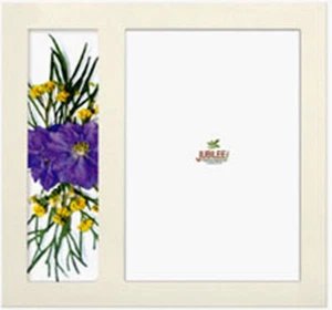 SONDERANGEBOT Pressblumen Bilderrahmen PW003 - Bild 1 von 1