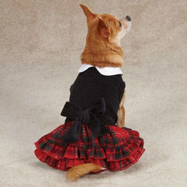 Vestido East Side Collection para Cachorro Yuletide Tartan Fecho de Gancho e Laço Filhote de Veludo  - Imagem 1 de 1