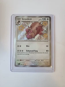 Greedent 2006/091 SV: Paldean Fates Holo - Bild 1 von 1