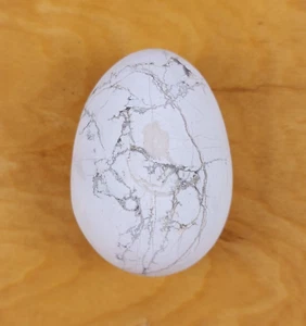 Howlite Stone Egg Carving 2 inch White Rock Gemstone Hand Palm Pocket Rock - Picture 1 of 8