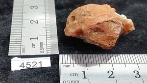 Agate rouge du Maroc pierre brute mineraux lithotherapie reiki collection brut - Picture 1 of 1