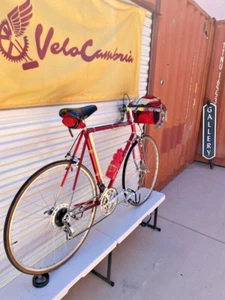  Schwinn Paramount 1977  Red Vintage Bicycle - Picture 1 of 14