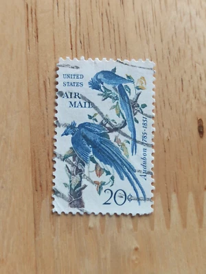 United States Postage, Audubon 1785 - 1851, 20c Air Mail stamp, used Foto 1 de 4