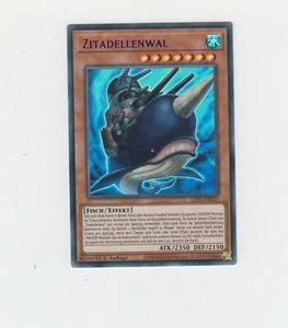 Zitadellenwal - Bild 1 von 1