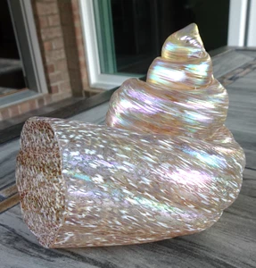 Signierte Cohn Steinkunst Glas irisierende Spritzer Nautilus Muschel Figur 2010 - Bild 1 von 14