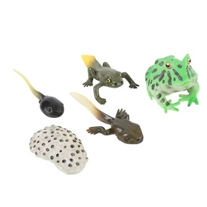Tadpole Growth Cycle Growth Stage Lifelike Tadpole 5 Pcs PVC Realistic Simulated - Picture 1 of 24