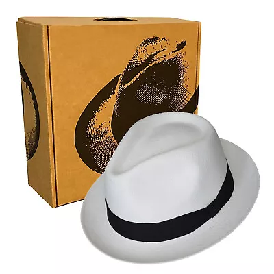 Short Brim Panama Hat | Teardrop Style | Made in Ecuador | GPH + HatBox - Image 1 of 3