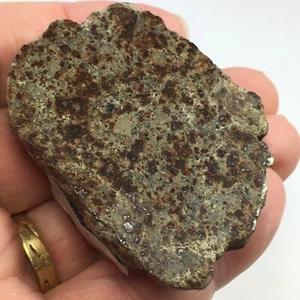 Chondrite Meteorite NWA L5 Morocco Part Polished Section Weighs 94 Grams - Picture 1 of 12